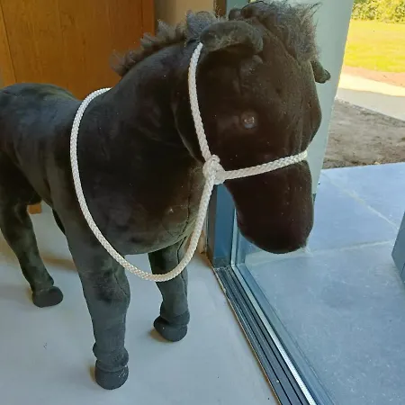 Natuurlijk Apartment *