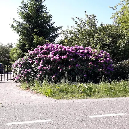 Natuurlijk Apartment