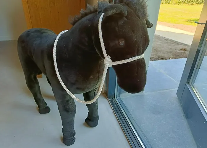 Natuurlijk Apartamento *