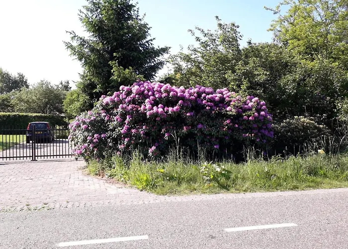 Natuurlijk Апартаменты